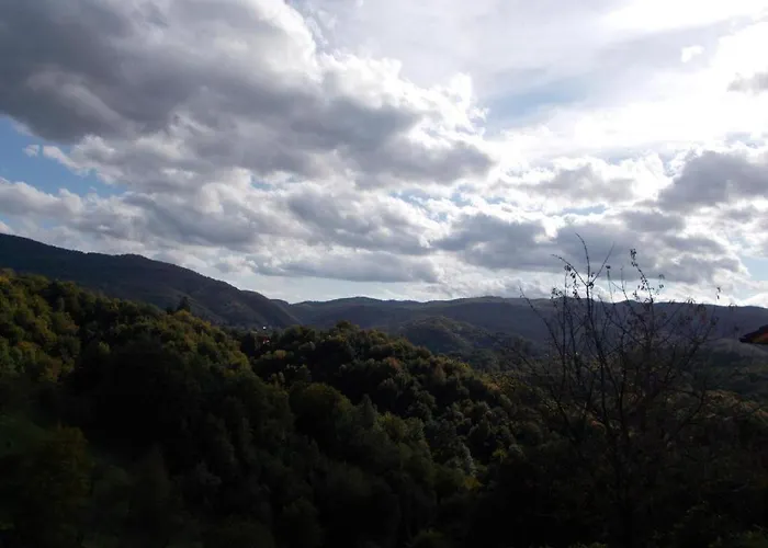 아파트 Apartma Prima *